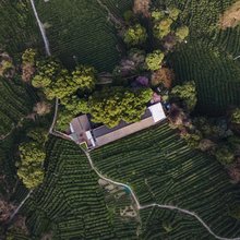 杭州龙井茂居酒店