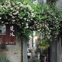 婺源·见外Rill·Wild山野美宿