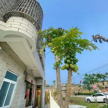 坛南湾沿途民宿