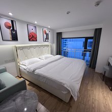 杭州圣域公寓(杭州龙湖西溪天街店)
