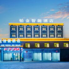 铂金智能酒店(东方板桥镇店)