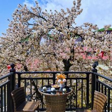 花筑·庐山山林客栈(牯岭街索道上站店)