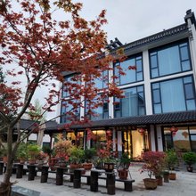 在别处·云栖溪岸丨全景田园美宿(西溪南古村落店)