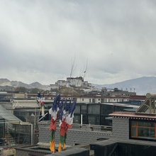 拉萨风花雪夜客栈