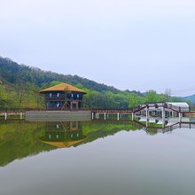 新县听荷轩酒店