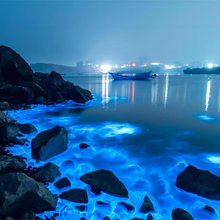 平潭·慕岸Ocean of Star度假美宿龙王头沙滩店