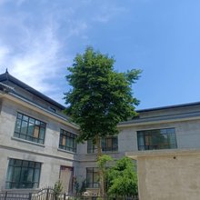 麦积山山野别院
