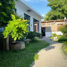 梧桐树下·茶宿(正定古城隆兴寺店)
