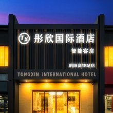 彤欣国际酒店(北京朝阳站东广场店)