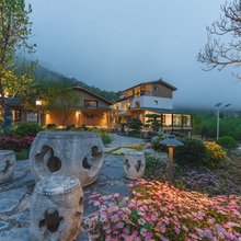 杏林山居