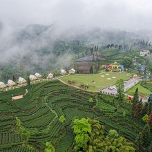 云台山热气球营地