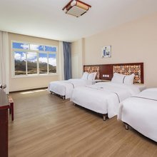 松潘洛城酒店(黄龙九寨高铁站川主寺店)