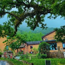 东江湖三餐一宿文旅民宿