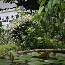 云起兰庭民宿(三宝国际陶艺村)