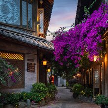丽江古城·山水爱斯花园庭院(四方街店)