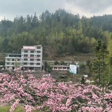 绿源农家山庄