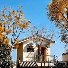 大理林栖山舍·Garden庭院度假别墅(苍山店)