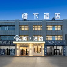 树下酒店