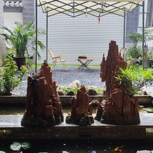 大理市邻洱花庭客栈