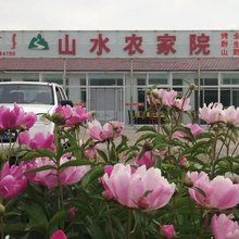 多伦山水农家院
