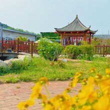 长岛钓鱼岛渔家大院