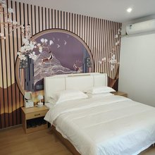 优居岚舍投影民宿