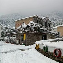 安吉招羊树民宿