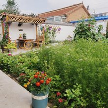 多伦吉嘉宾馆