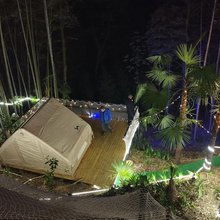 坐望森林民宿