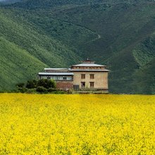 香格里拉农拉央匹生态庄园(纳帕海景区店)
