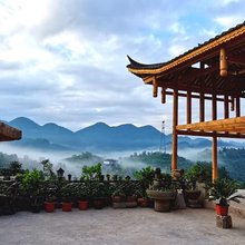 伍家台一叶情民宿