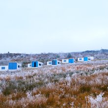王岗坪脱壳龟生态营地