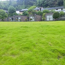 张家界世隐露营地