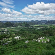 T三峰林茶谷野奢帐篷营地