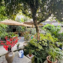 西递履福堂花园民宿(西递景区店)