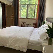 芳林阁民宿(九宫山店)