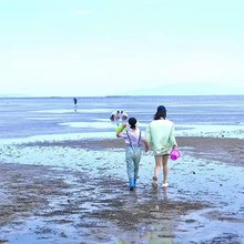兴城市拾贝湾海景花园民宿