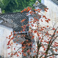 岭居·青石小巷民宿(篁岭风景区店)