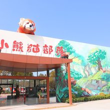 常州淹城小熊猫部落