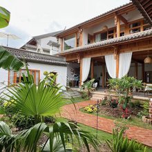 小院拂拂蕾