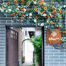 洛阳皂角树下民宿(洛邑古城十字街店)