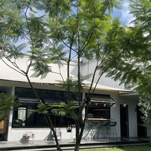沐山汐|朴语民宿(大理古城步行街店)