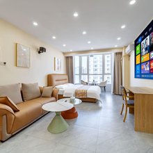 沈阳蔓居精品公寓(盛京大奥莱奥体中心地铁站店)