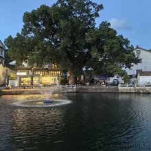 苏州古树名屋民宿
