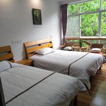 天目山松林氧吧民宿