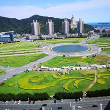 坚果壳·海景民宿(大连星海广场地铁站店)