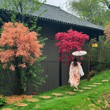云冰山大桥客栈
