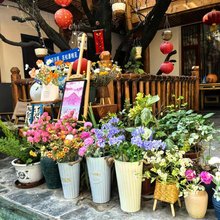 庞家花园民宿(松潘松州古城店)