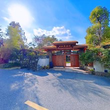 雨叶茶文化民宿