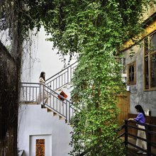 佛山祖庙有树小院(岭南明珠体育馆店)